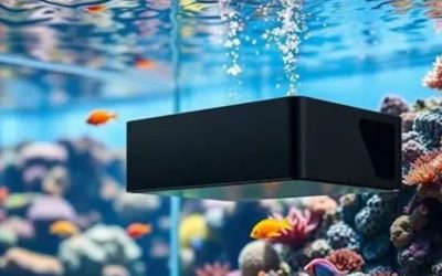 Best Aquarium Overflow Box for a Planted Tank: Top Picks