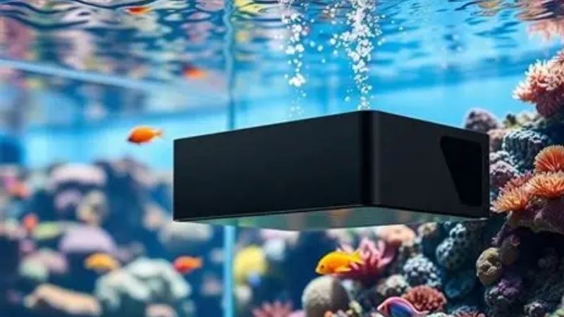 best aquarium overflow box for a planted tank