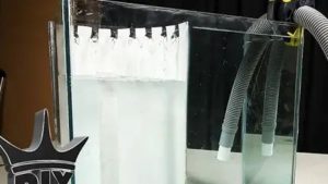 Best Aquarium Overflow Box for Beginners: Easy Starter Picks
