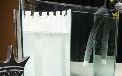 Best Aquarium Overflow Box for Beginners: Easy Starter Picks