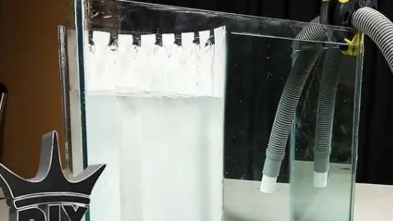best aquarium overflow box for beginners