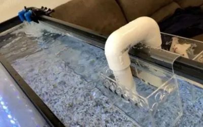 Best Aquarium Overflow Box for Freshwater Tanks: Top Picks