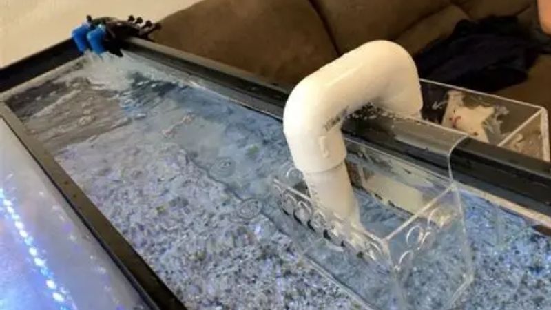 best aquarium overflow box for freshwater tanks