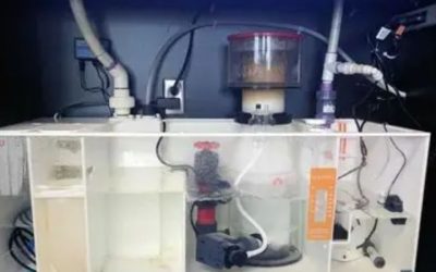 Best Aquarium Overflow Box for Saltwater Tanks: Top Picks