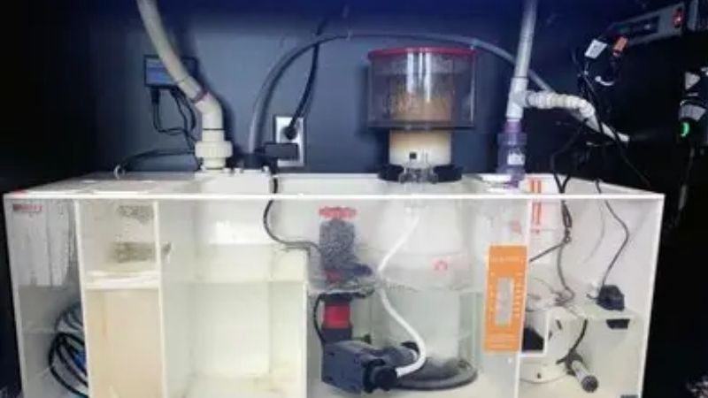best aquarium overflow box for saltwater tanks