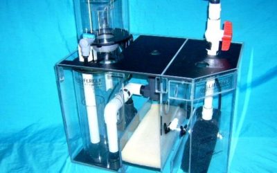 Best Aquarium Overflow Box for the Money: Smart Value Picks