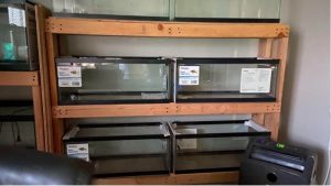 Best Aquarium Rack for a 125 Gallon Tank: Top Top Picks