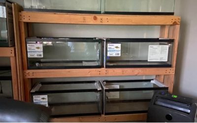 Best Aquarium Rack for a 125 Gallon Tank: Top-Rated Picks