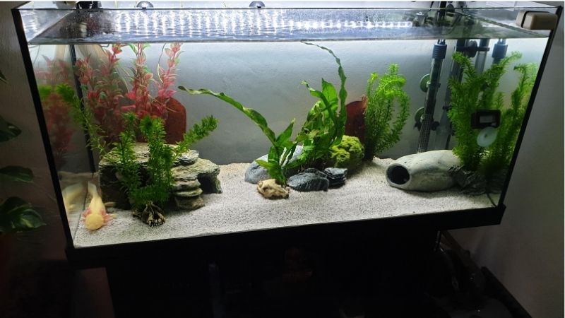best aquarium rack for a 40 gallon tank