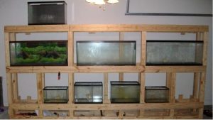 Best Aquarium Rack for a Living Room: Smart Stylish Picks