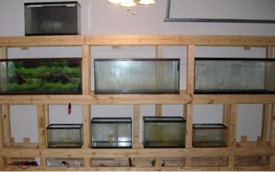 Best Aquarium Rack for a Living Room: Smart Stylish Picks