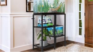Best Aquarium Rack for a Small Apartment: Smart Top Picks