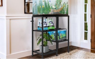 Best Aquarium Rack for a Small Apartment: Smart Top Picks