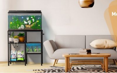 Best Aquarium Rack for Beginners: Easy and Reliable Picks