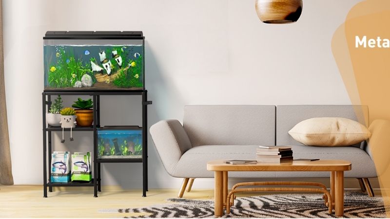 best aquarium rack for beginners