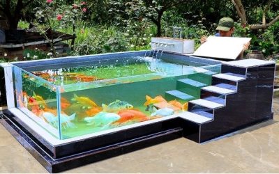Best Aquarium Rack With Storage: Smart Organized Top Picks