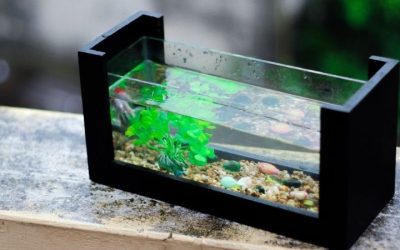 Best Aquarium Silicone Sealant Fish Safe: Top Compared Guide