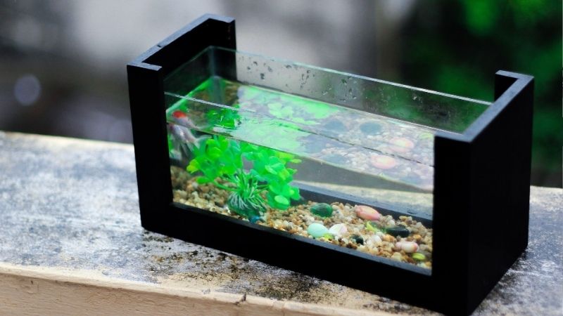best aquarium silicone sealant fish safe