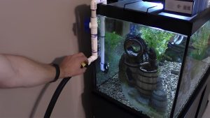 Best Aquarium Siphon for Water Changes: Top Tested Picks