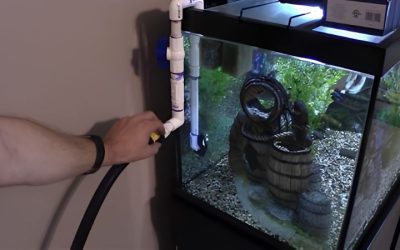 Best Aquarium Siphon for Water Changes: Top Top Picks