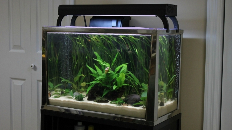 best aquarium stand for 20 gallon tank