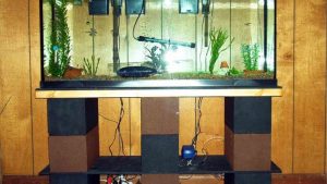 Best Aquarium Stand For 55 Gallon Tank: Reliable Tested