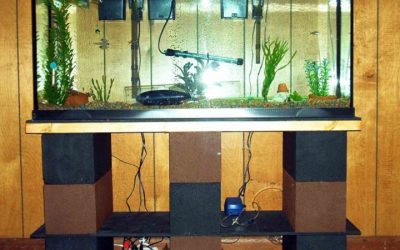 Best Aquarium Stand For 55 Gallon Tank: Reliable Compared