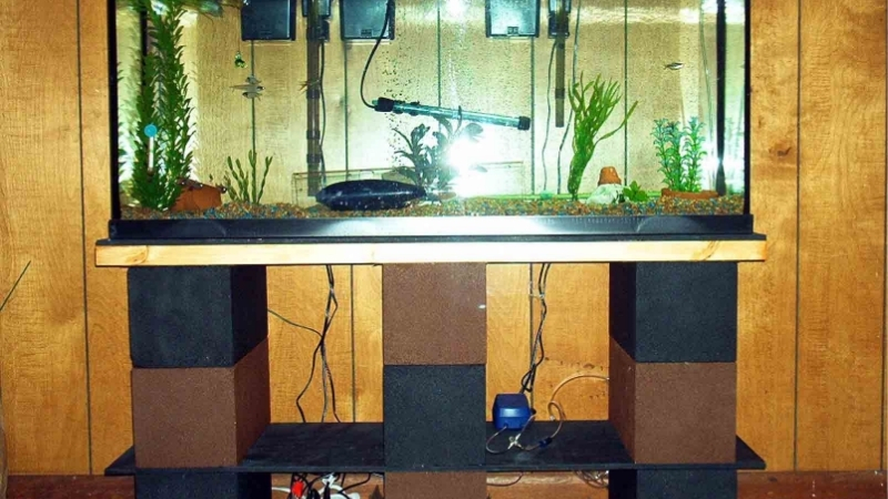 best aquarium stand for 55 gallon tank