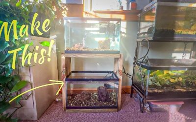 Best Aquarium Stand For A 120 Gallon Tank: Top Compared Guide