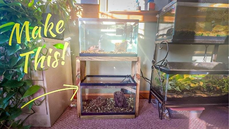 best aquarium stand for a 120 gallon tank