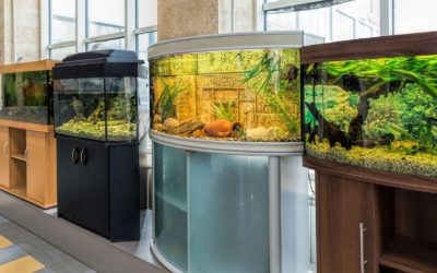 Best Aquarium Stand for a Small Apartment: Top Expert Pick