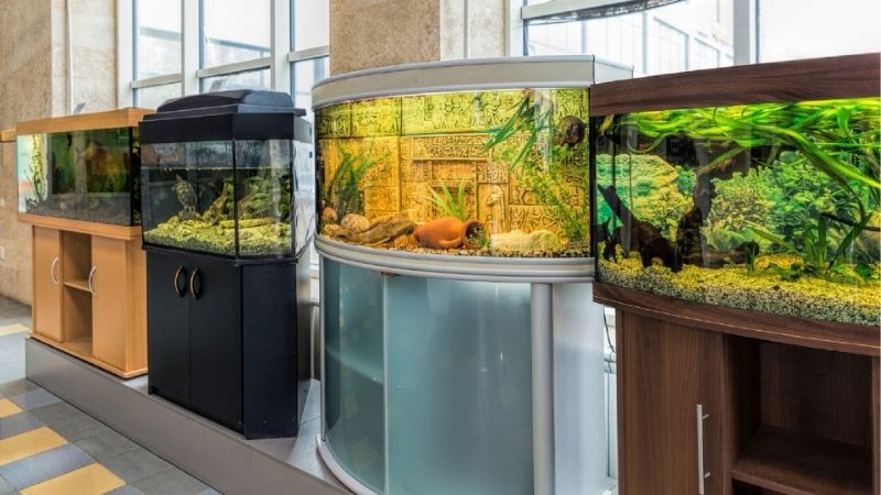 best aquarium stand for a small apartment