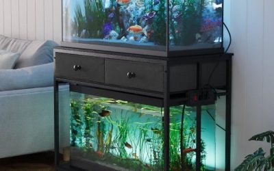 Best Aquarium Stand for Beginners: Top Expert Buying Guide