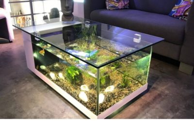 Best Aquarium Stand For Small Spaces: Essential Perfect