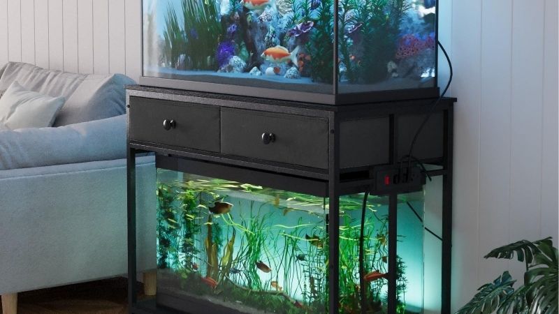 best aquarium stand for the money