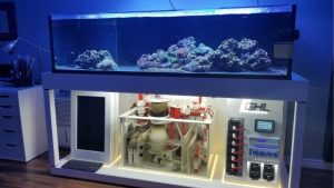 Best Aquarium Stand That Fits A Sump Underneath: Top Tested