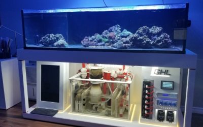 Best Aquarium Stand That Fits A Sump Underneath: Top Compared