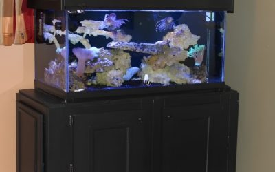 Best Aquarium Stand With Cabinet Storage: Trusted Smart