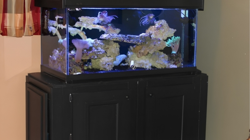 best aquarium stand with cabinet storage