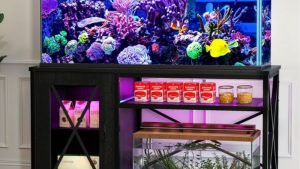 Best Aquarium Stand With Power Outlet: Ultimate Trusted