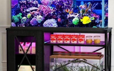 Best Aquarium Stand With Power Outlet: Ultimate Trusted
