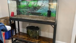 Best Aquarium Stand With Usb Ports: Tested Best Choices