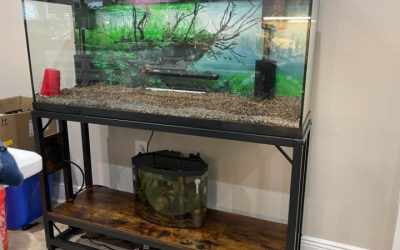 Best Aquarium Stand With Usb Ports: Tested Best Choices