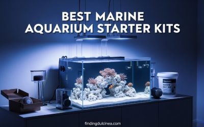 Best Aquarium Starter Kit With Heater And Filter: Top Tested