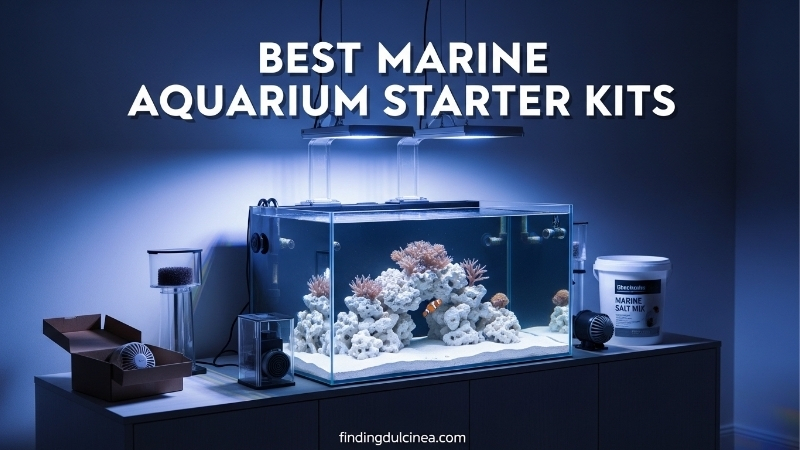 best aquarium starter kit with heater and filter