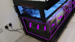 Best Aquarium Sump for a Nano Reef Tank: Top Expert Guide
