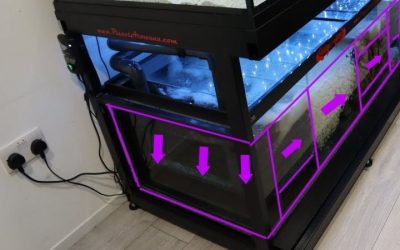 Best Aquarium Sump for a Nano Reef Tank: Top Expert Guide