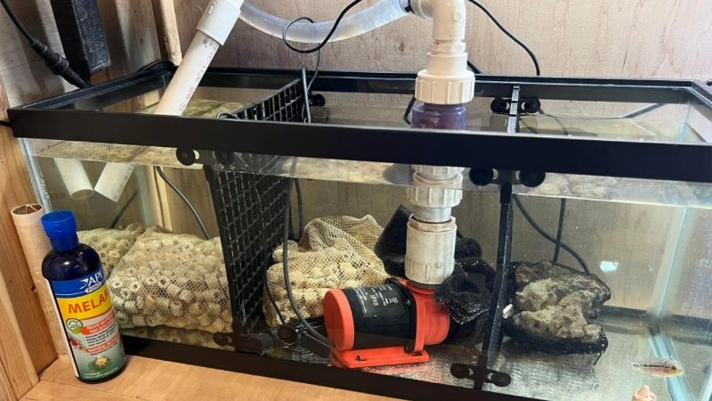 best aquarium sump for freshwater tanks