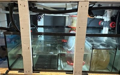 Best Aquarium Sump for the Money: Top Expert Buying Guide