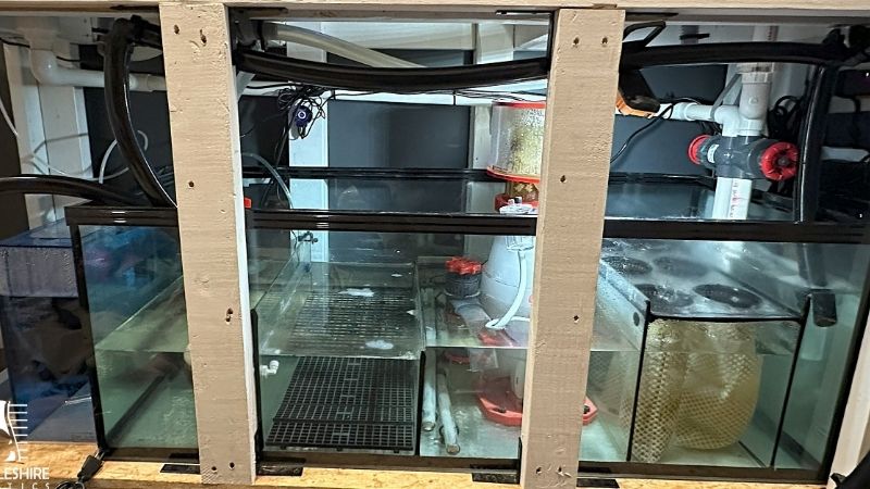 best aquarium sump for the money